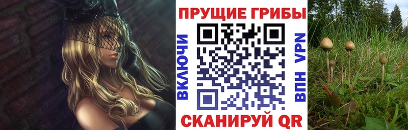 Галлюциногенные грибы мухоморы  Гусев 
