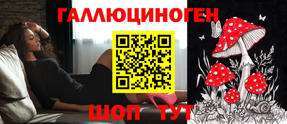 Гусев  Галлюциногенные грибы прущие грибы  Вход с VPN 