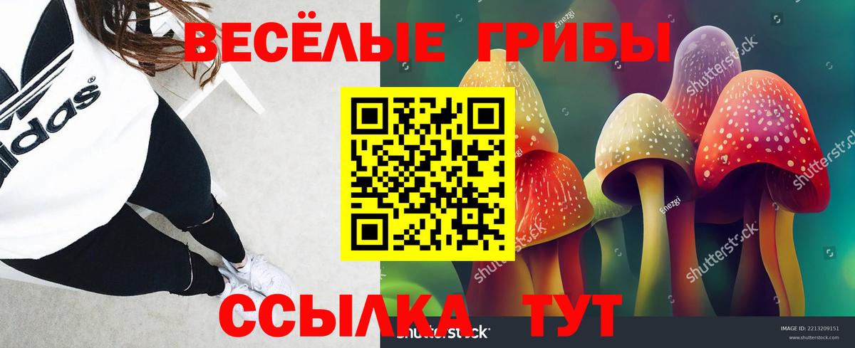 Галлюциногенные грибы мицелий Гусев