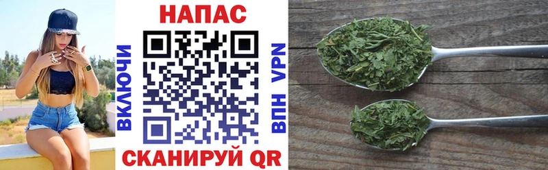 Шишки марихуана план  магазин продажи наркотиков  Гусев 