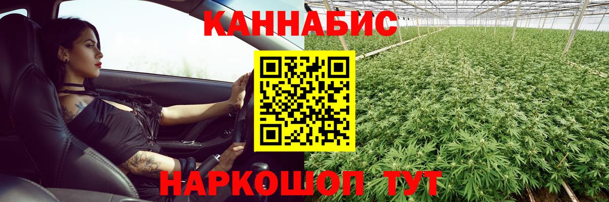 МАРИХУАНА гибрид Гусев